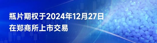 迎新！瓶片期权有何交易机会？首日交易策略来啦！