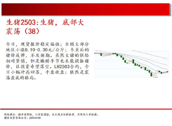 中天期货:生猪底部大震荡 玻璃初步下破  第7张