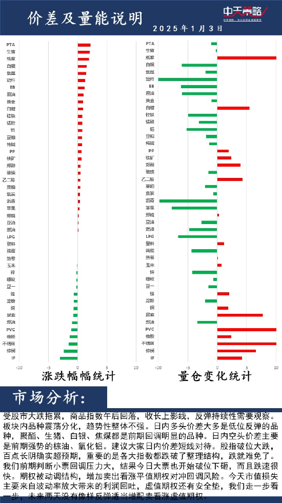 中天策略:1月3日市场分析  第2张