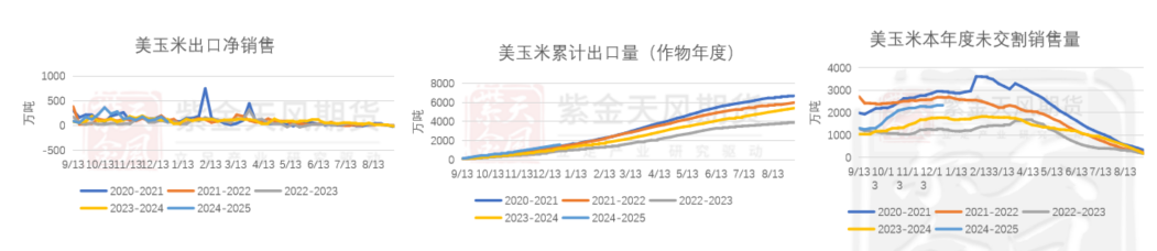 玉米：前高仍难突破  第3张