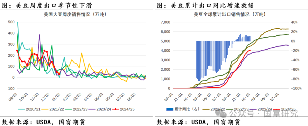 【USDA】1月报告：美豆单产下调超预期，南美大豆丰产压制美豆价格上行  第9张