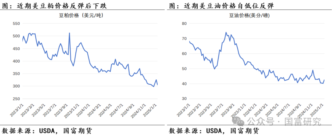 【USDA】1月报告：美豆单产下调超预期，南美大豆丰产压制美豆价格上行  第12张