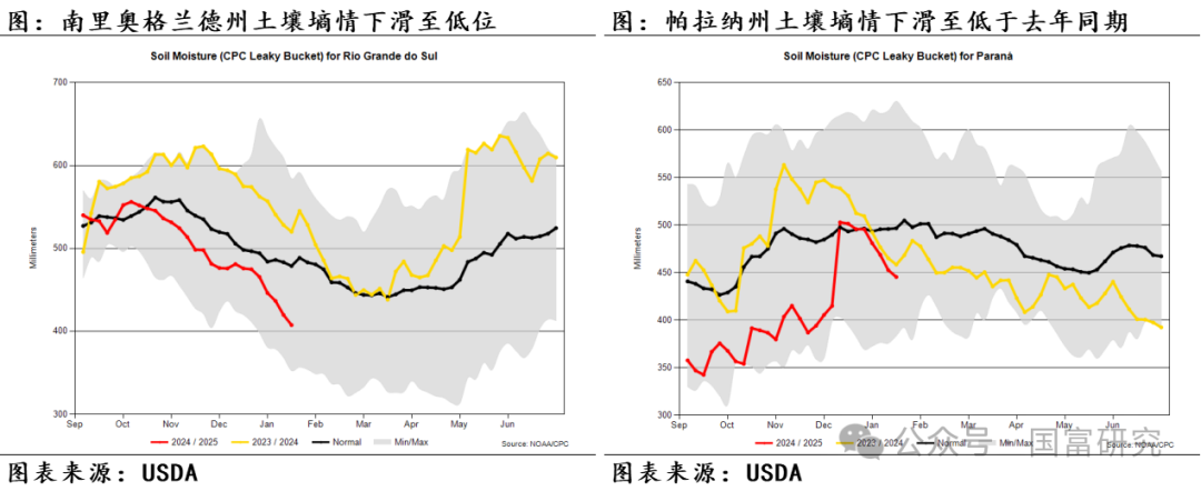 【USDA】1月报告：美豆单产下调超预期，南美大豆丰产压制美豆价格上行  第17张