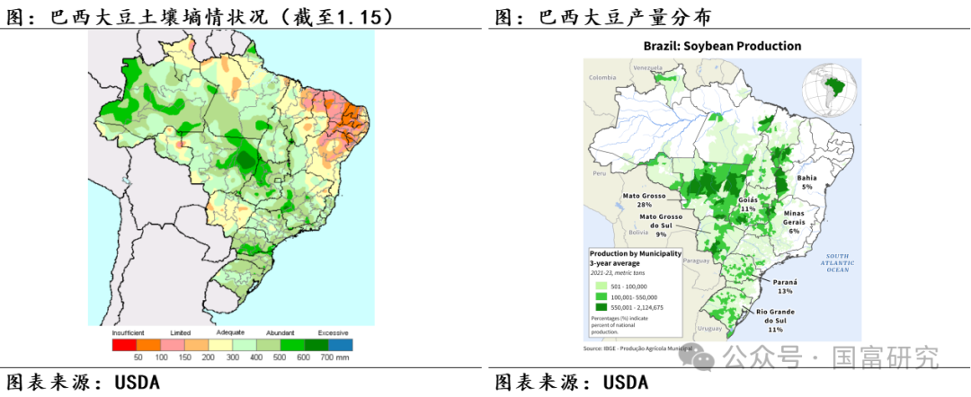 【USDA】1月报告：美豆单产下调超预期，南美大豆丰产压制美豆价格上行  第18张