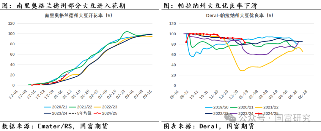 【USDA】1月报告：美豆单产下调超预期，南美大豆丰产压制美豆价格上行  第21张