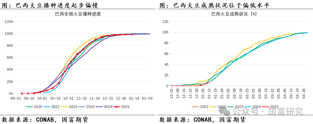 【USDA】1月报告：美豆单产下调超预期，南美大豆丰产压制美豆价格上行  第22张