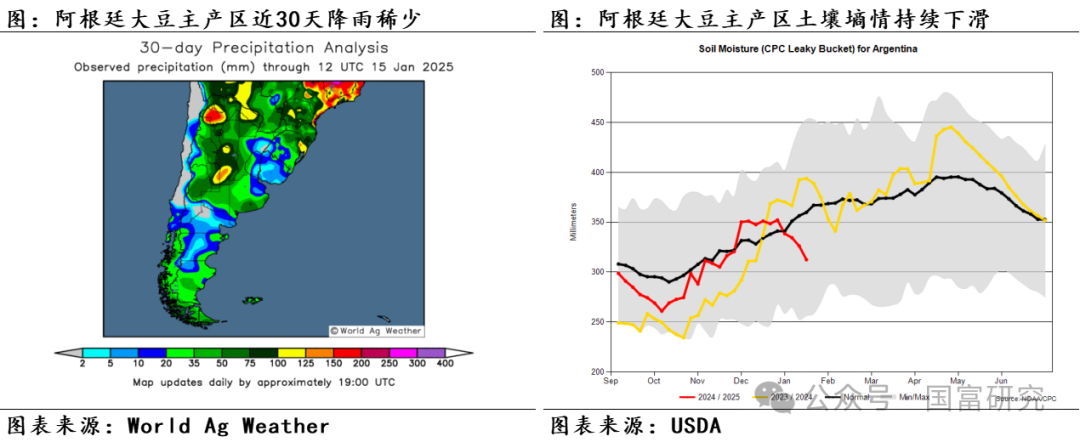 【USDA】1月报告：美豆单产下调超预期，南美大豆丰产压制美豆价格上行  第25张