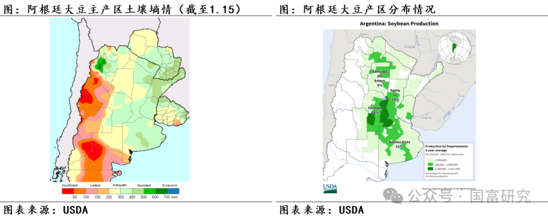 【USDA】1月报告：美豆单产下调超预期，南美大豆丰产压制美豆价格上行  第26张