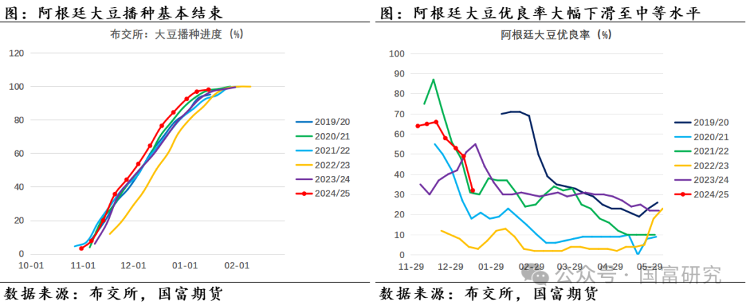 【USDA】1月报告：美豆单产下调超预期，南美大豆丰产压制美豆价格上行  第27张