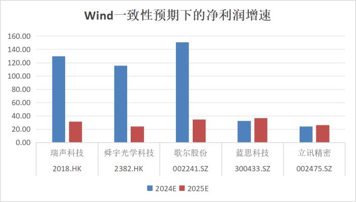 复盘2024：瑞声科技王者归来，业绩与股价双重飞跃  第4张